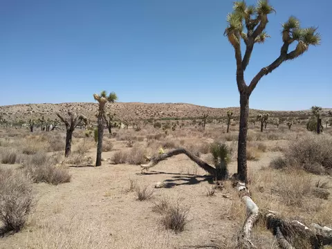 Vicinity 113th St E & Ave X2, Juniper Hills, CA 93543 photo 3
