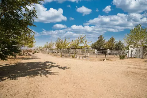 50623 Taney St, Lancaster, CA 93536 photo 20