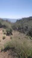 26421 Winchester Ct, Tehachapi, CA 93561 photo 2