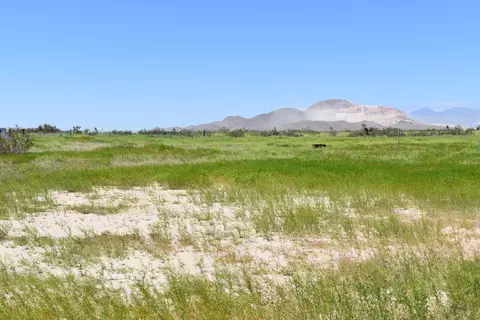 1536 Dalton Ave, Mojave, CA 93501 photo 3