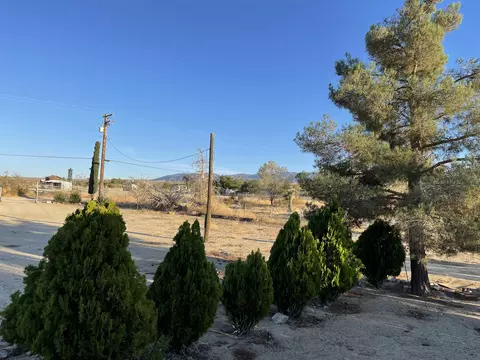 33373 167th St E, Llano, CA 93544 photo 3