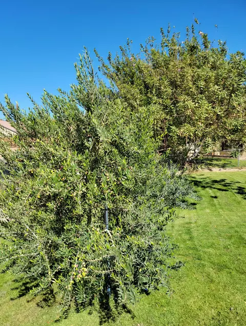 3340 Eagle Way, Rosamond, CA 93560 photo 2