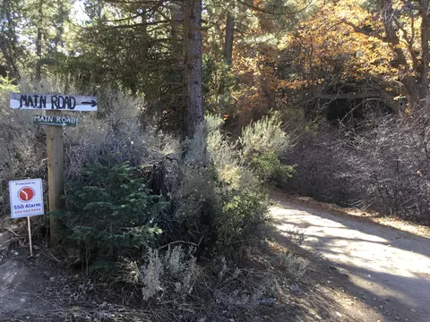16333 Paradise Valley Rd, Tehachapi, CA 93561 photo 6
