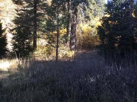 16333 Paradise Valley Rd, Tehachapi, CA 93561 photo 2