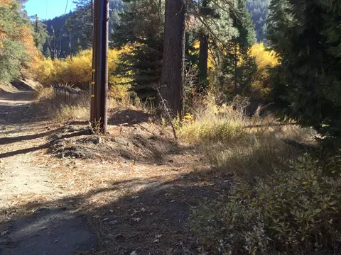 16333 Paradise Valley Rd, Tehachapi, CA 93561 photo 9