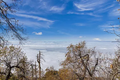 26600 Teal Ct, Tehachapi, CA 93561 photo 57