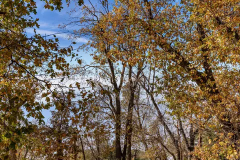 26600 Teal Ct, Tehachapi, CA 93561 photo 60