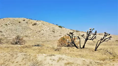 96 Th St E, Juniper Hills, CA 93543 photo 7