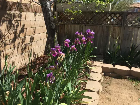 5562 Symphony Ct, Lancaster, CA 93536 photo 45