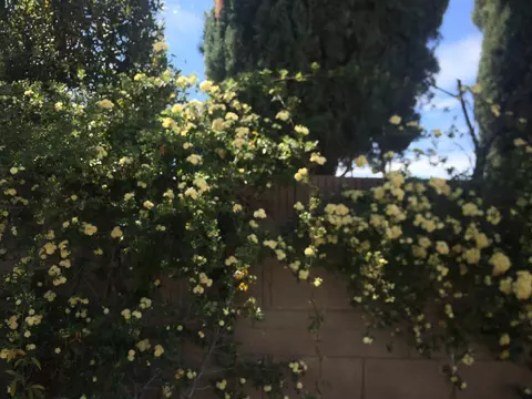 5562 Symphony Ct, Lancaster, CA 93536 photo 46