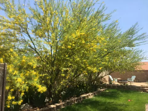 5562 Symphony Ct, Lancaster, CA 93536 photo 48