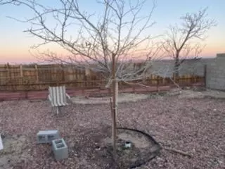 46629 E 198th St, Lancaster, CA 93535 photo 4