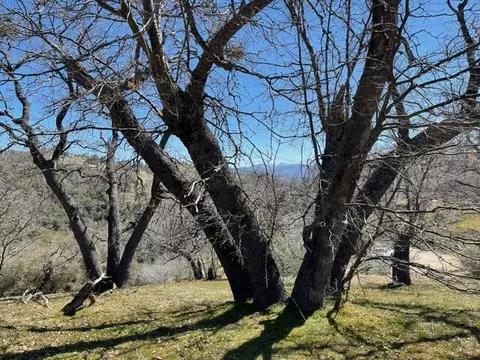 30221 Starland Dr, Tehachapi, CA 93561 photo 2