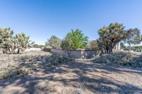 36503 Harold 3rd St, Palmdale, CA 93550 photo 34