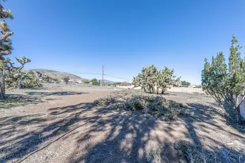 36503 Harold 3rd St, Palmdale, CA 93550 photo 35