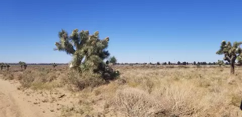 Avenue L4, Palmdale, CA 93552 photo 2