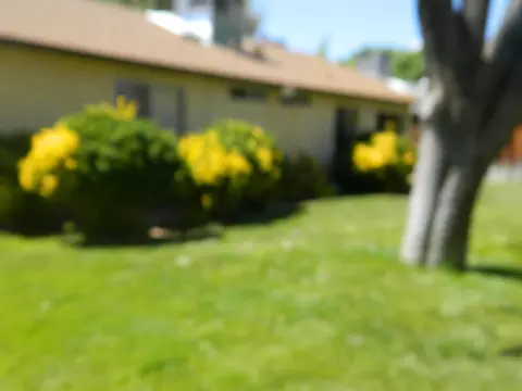 44102 Fenhold St E, Lancaster, CA 93535 photo 11