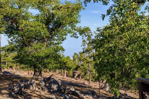 26881 Owl Ct, Tehachapi, CA 93561 photo 26