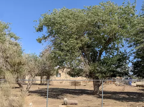 37320 E 10th St, Palmdale, CA 93550 photo 18