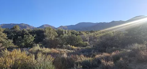 Nearwood Road, Juniper Hills, CA 93543