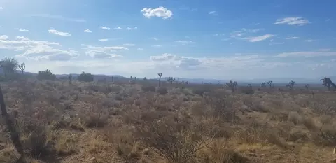 175 Th St E, Llano, CA 93544 photo 3
