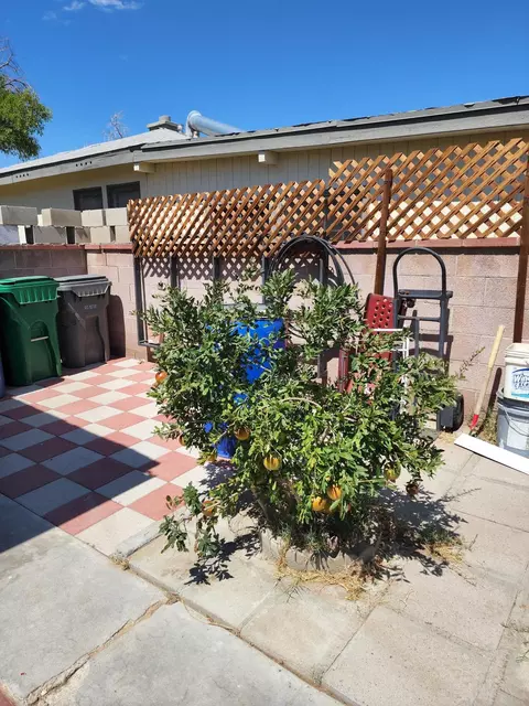 44430 Beech Ave, Lancaster, CA 93534 photo 13