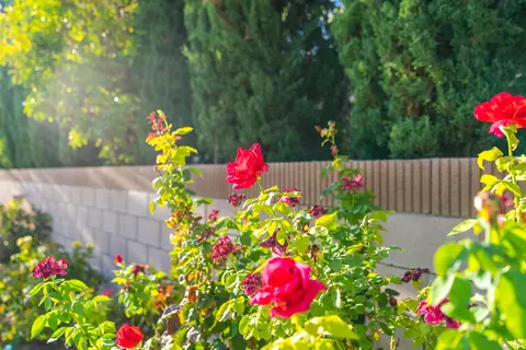 2767 Huston Pl, Lancaster, CA 93536 photo 42