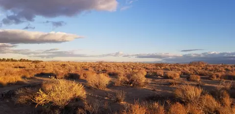 Avenue L E, Palmdale, CA 93550 photo 4