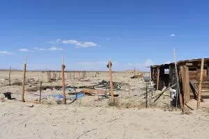 20111 E Avenue O, Palmdale, CA 93591 photo 15