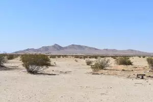 20111 E Avenue O, Palmdale, CA 93591 photo 13