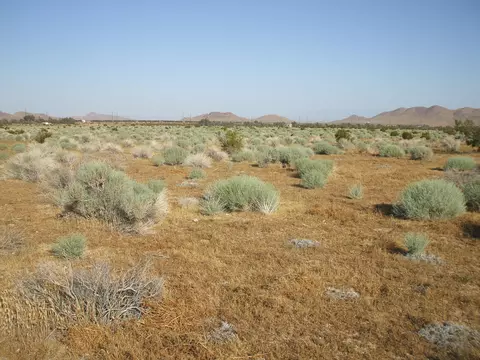 000 N Vim, Rosamond, CA 93560 photo 8