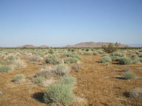 000 N Vim, Rosamond, CA 93560 photo 4
