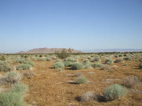 000 N Vim, Rosamond, CA 93560 photo 5