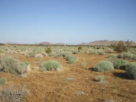 000 N Vim, Rosamond, CA 93560 photo 9