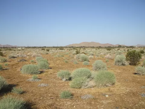 000 Vim N, Rosamond, CA 93560