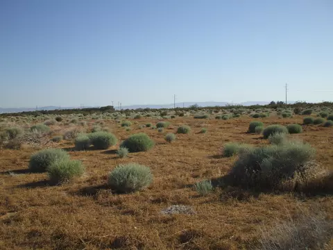 000 N Vim, Rosamond, CA 93560 photo 15