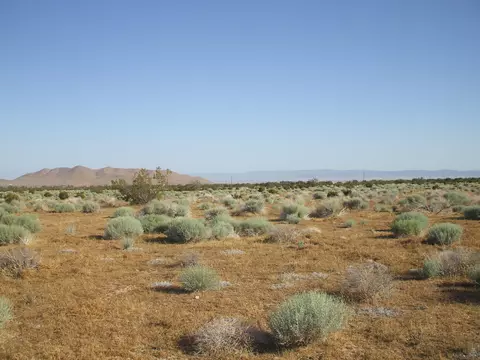 000 N Vim, Rosamond, CA 93560 photo 6