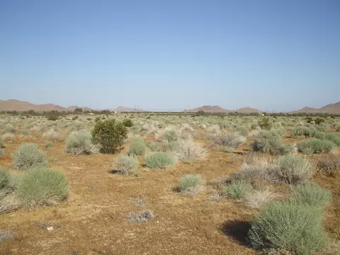 000 N Vim, Rosamond, CA 93560 photo 3