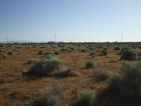 000 N Vim, Rosamond, CA 93560 photo 11
