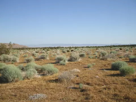 000 N Vim, Rosamond, CA 93560 photo 16