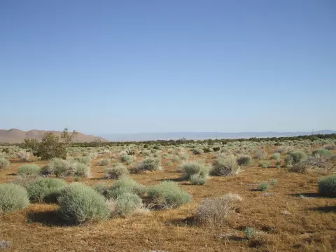 000 N Vim, Rosamond, CA 93560 photo 10