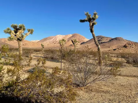 2285 Backus Rd, Mojave, CA 93501 photo 27