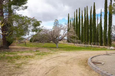 33036 165th St E, Llano, CA 93544 photo 29
