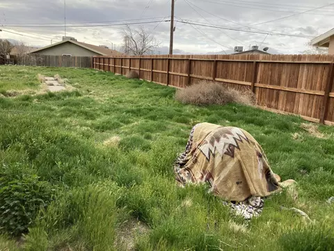 45360 Raysack Ave, Lancaster, CA 93535 photo 25