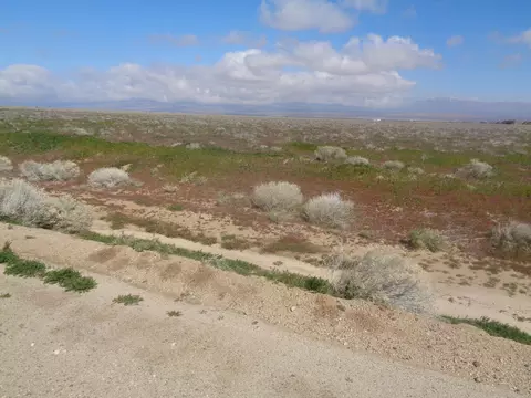 191 Stw Ave E15, Fairmont, CA 93536 photo 16