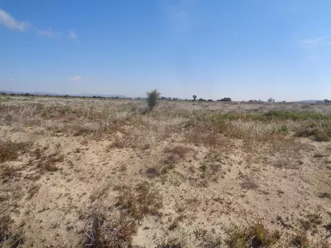 191 Stw Ave E15, Fairmont, CA 93536 photo 10