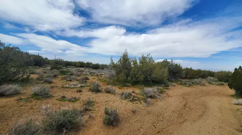 Four Winds Rd Near 106th St E, Juniper Hills, CA 93543