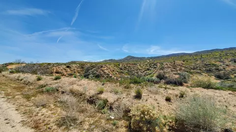 Mt Emma Road Nr 74th St East, Littlerock, CA 93543