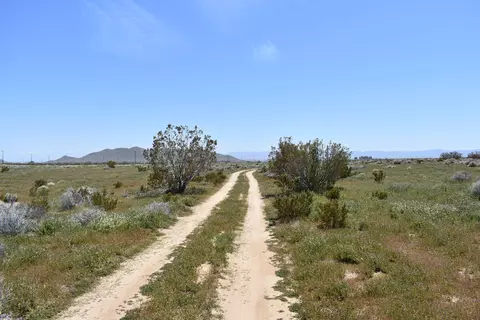 95 Th St W Tingle Ave, Rosamond, CA 93560