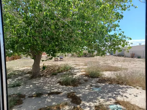 41710 159th St E, Lancaster, CA 93535 photo 22